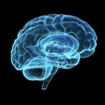 BRAIN STEM INJURIES